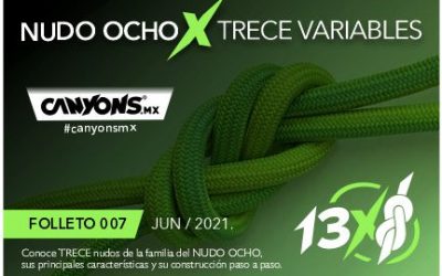 TRECE VARIABLES DEL NUDO OCHO